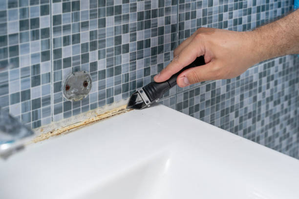 Best Mold Testing and Inspection Services in Novato, CA