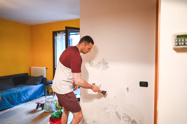 Best Crawl Space Mold Remediation in Novato, CA